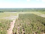 Off Cr 4290 - Photo 15