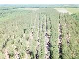 Off Cr 4290 - Photo 6