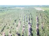 Off Cr 4290 - Photo 7