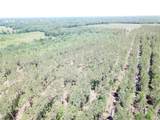 Off Cr 4290 - Photo 8