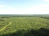00 County Road 4223 - Photo 1