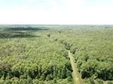 00 County Road 4223 - Photo 12