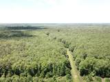 00 County Road 4223 - Photo 13
