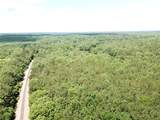 00 County Road 4223 - Photo 16