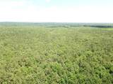 00 County Road 4223 - Photo 17