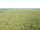 00 County Road 4223 - Photo 19