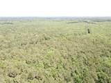 00 County Road 4223 - Photo 21