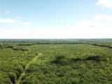 00 County Road 4223 - Photo 4