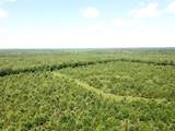 00 County Road 4223 - Photo 9