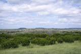 TBD County Road 224 - Photo 18