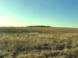 TBD County Road 224 - Photo 3