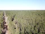 00 Corrigan Road - Photo 19