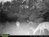 Tract 6 County Road 2935 - Photo 13