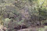Tract 6 County Road 2935 - Photo 5