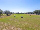 2608 Turkey Creek Road - Photo 2