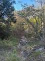 2401 True Grit Way - Photo 11