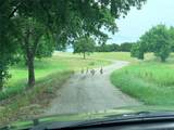 10388 County Road 106 - Photo 13