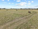 TBD Crews Road - Photo 24