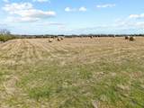 TBD Crews Road - Photo 6