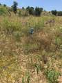 LOT 58 Eastern Hills Drive - Photo 8