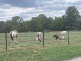 2160 County Road 4371 - Photo 19