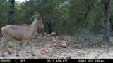 1390 Clayton Mountain Road - Photo 12