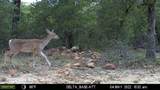 1390 Clayton Mountain Road - Photo 13