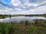 55.76 Acres Fm-3371 - Photo 14