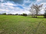 55.76 Acres Fm-3371 - Photo 4