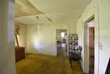 917 Pickett Street - Photo 6