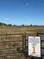 TBD Angus Road - Photo 6