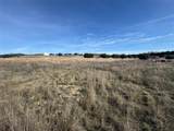 FM 2905 PR 2902 Logan Branch Subdivision - Photo 5