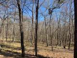 TBD Anderson County Rd. 319 - Photo 4