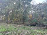 Lot 81 Open Water Point - Photo 14