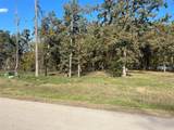 Lot 81 Open Water Point - Photo 3