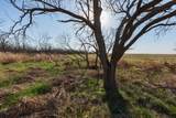 TBD Cr 262 - Photo 20