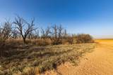 TBD Cr 262 - Photo 9