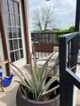 13217 Emily Road - Photo 6