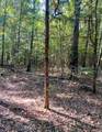 TBD County Road 2615 - Photo 4