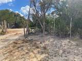 829 Tejas Trail - Photo 3