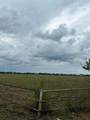 TBD Downsville Road - Photo 5