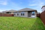 14609 Antlia Drive - Photo 17