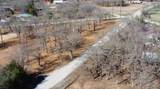 153 Catfish Trail - Photo 14