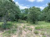 TBD Farm-To-Market 2494 - Photo 14