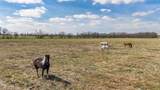 TBD Sabine Creek Road - Photo 35