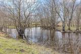TBD Sabine Creek Road - Photo 6