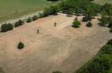 Tract 9 Farm To Market 1743 - Photo 19