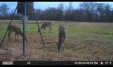 000 Fm 2909 - Photo 13