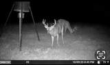 000 Fm 2909 - Photo 14