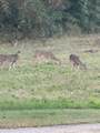 000 Fm 2909 - Photo 15